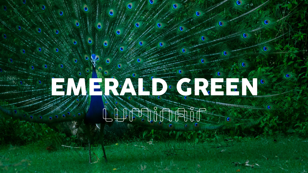 Pandan, The Emerald Green of Asia